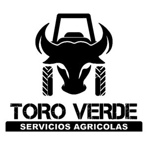 Toro Verde - logo negro