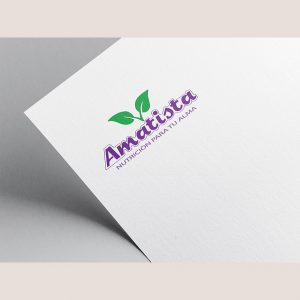 logo amatista